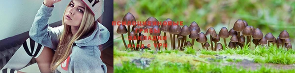 марки lsd Алзамай