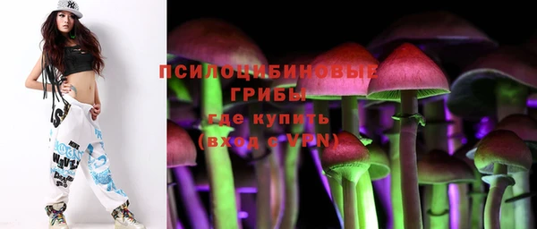 спиды Алексеевка